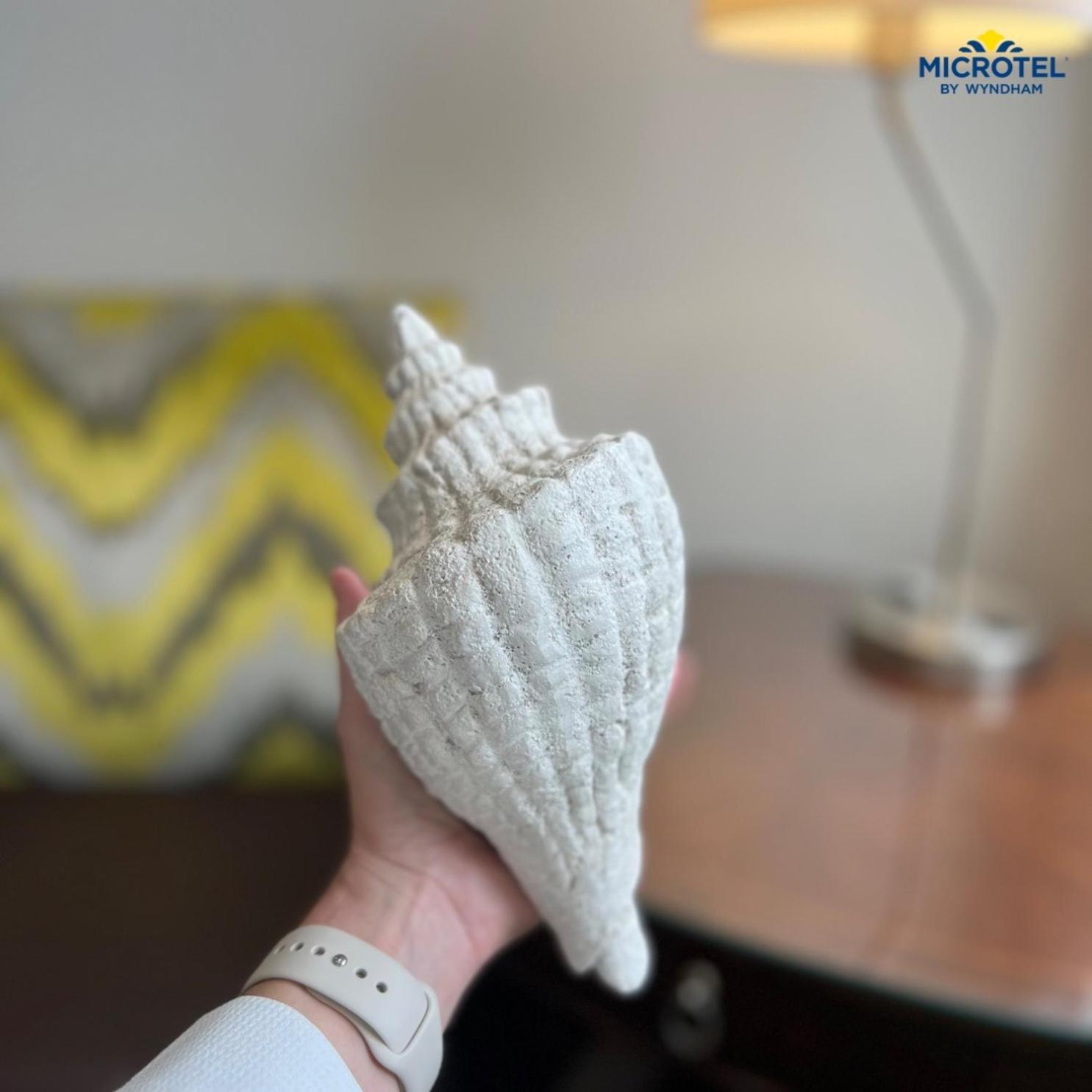 Microtel Inn & Suites By Wyndham Corpus Christi/Aransas Pass Dış mekan fotoğraf